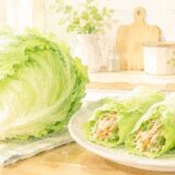 みずみずしいレタス1玉とレタス巻きが並ぶ明るいキッチンの水彩風イラスト