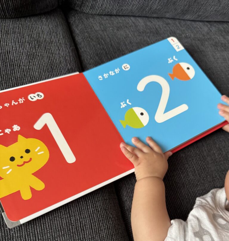 知育本を見ている0歳児