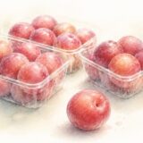 プラム（すもも）で頭がスッキリ？食べて検証した私の体験談【6年後の追記も】