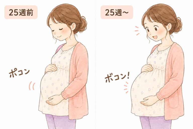 妊娠25週前後の胎動の変化のイラスト。25週前は「ポコン」と小さな動き、25週からは「ボコン！」と力強い動きに