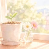 流産後の妊活はいつから再開した?2回の稽留流産のあと、私が待たなかった理由と気持ちの変化